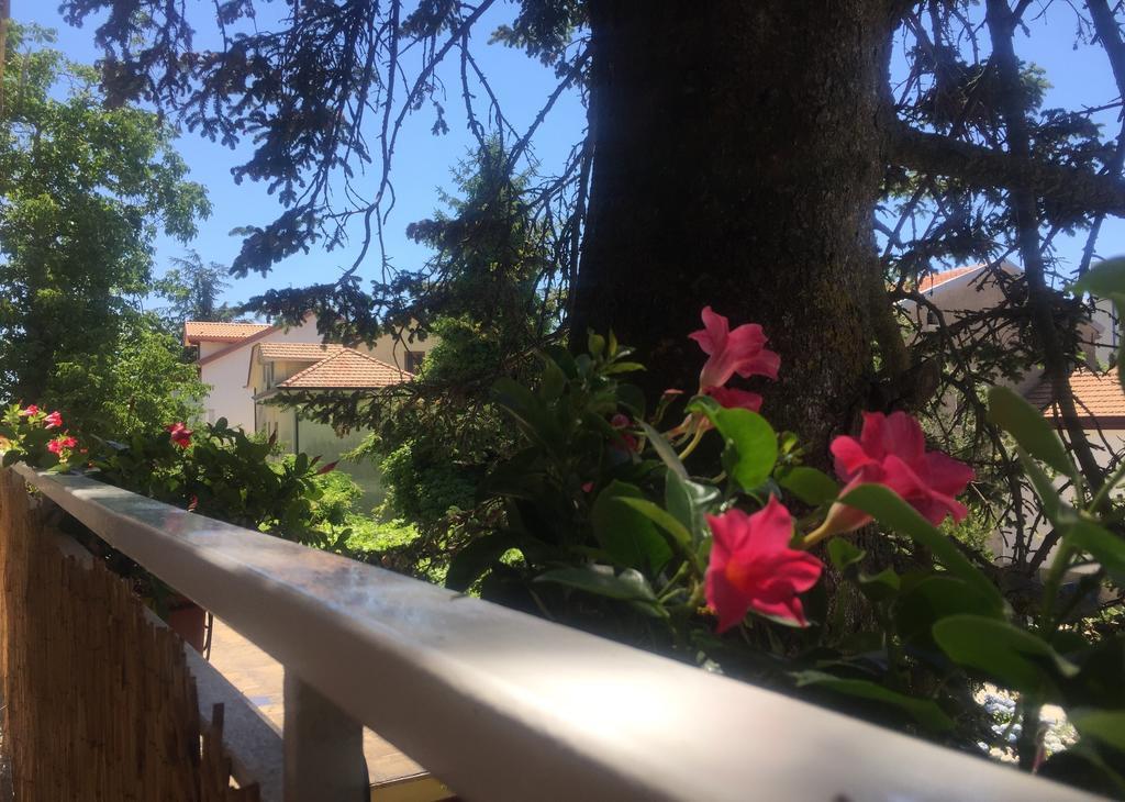New Royal Bed & Breakfast Agerola Bagian luar foto
